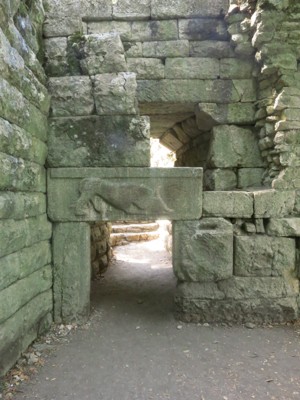 lions gate 
