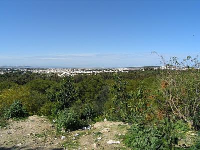 P2210027 