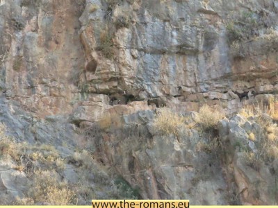 Delphi 018 ibex 1 