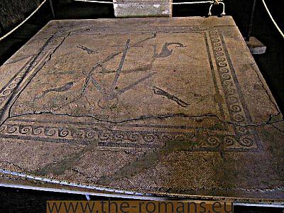Palestra mosaic 