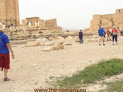 PAS005-Palmyra 