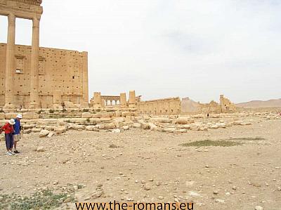 PAS006-Palmyra 