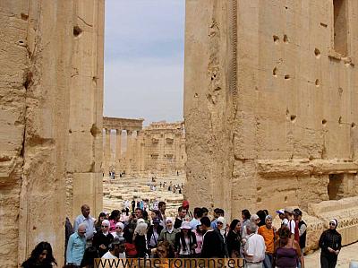 PAS008-Palmyra 