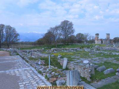 Basilica B  forum 