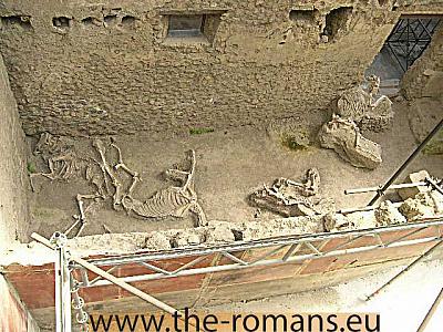 House of the chaste lovers horses 