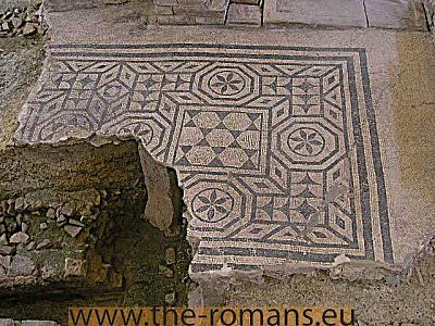 Doctors house floor mosaic 