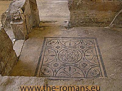 Doctors house floor mosaic 