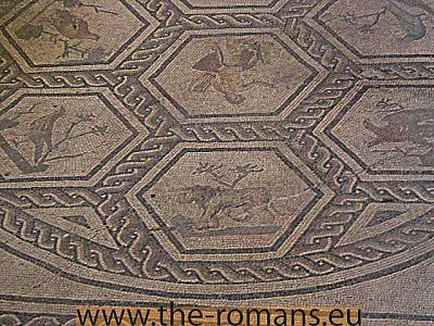 Doctors house floor mosaic 