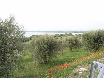 View from the hills east of Tuoro 
