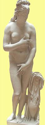 Bathing Venus 