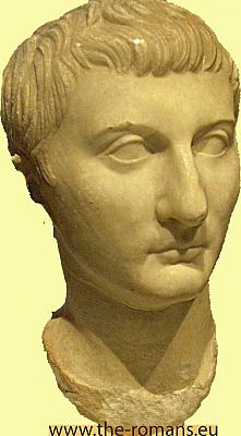 Drusus minor 