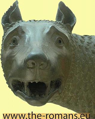 She-wolf-head 