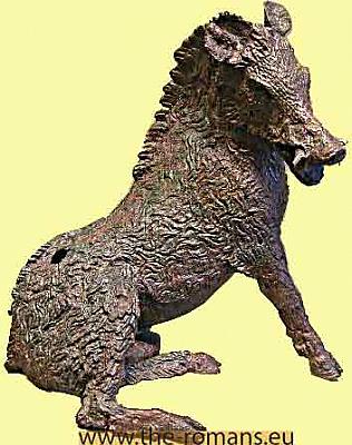 Boar 