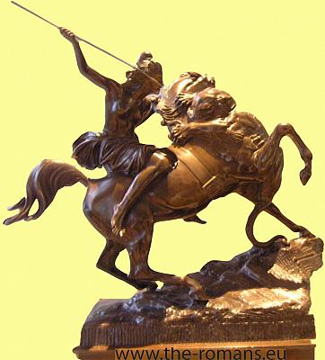 NMM020-amazone 