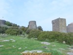 towers