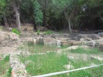 roman house