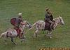 LMA007-roman-cavalry