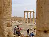 PAS007-Palmyra