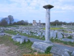 Basilica B far
