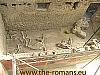 House of the chaste lovers horses