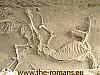 House of the chaste lovers horses