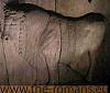 Relief of a bull