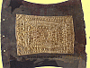 Cardiophilax